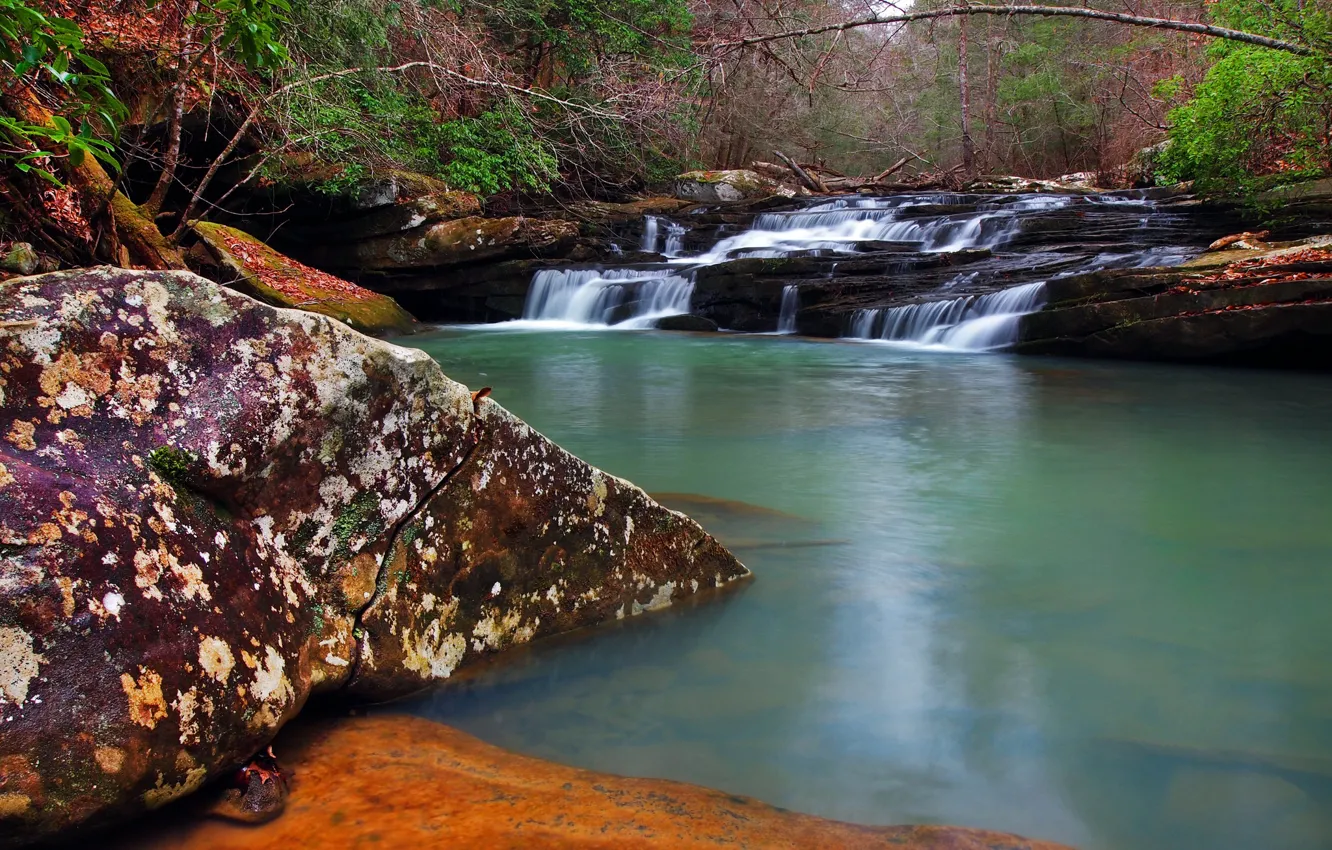 Photo wallpaper nature, river, USA, cascade, Kentucky, Daniel Boone National Forest