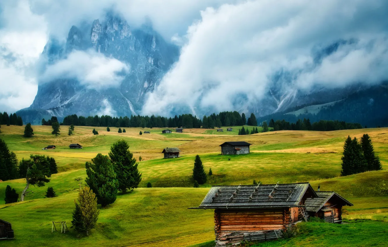 Photo wallpaper field, forest, mountains, fog, Alps, house