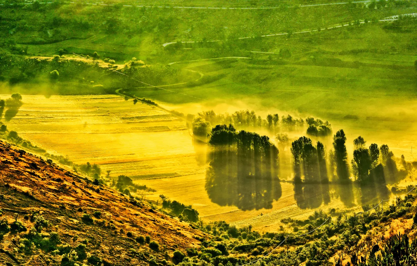 Photo wallpaper field, trees, mountains, fog, valley, slope