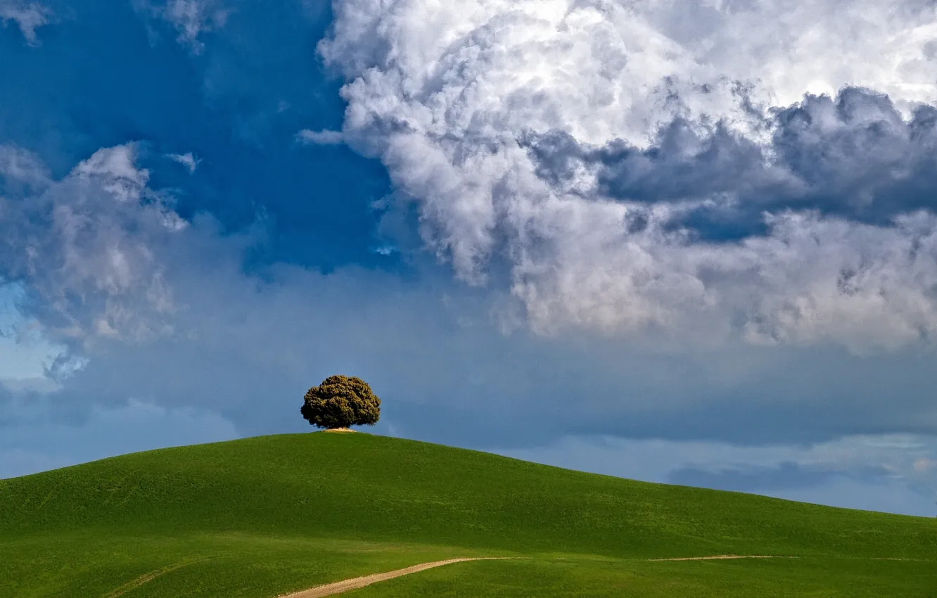 Photo wallpaper clouds, tree, hill
