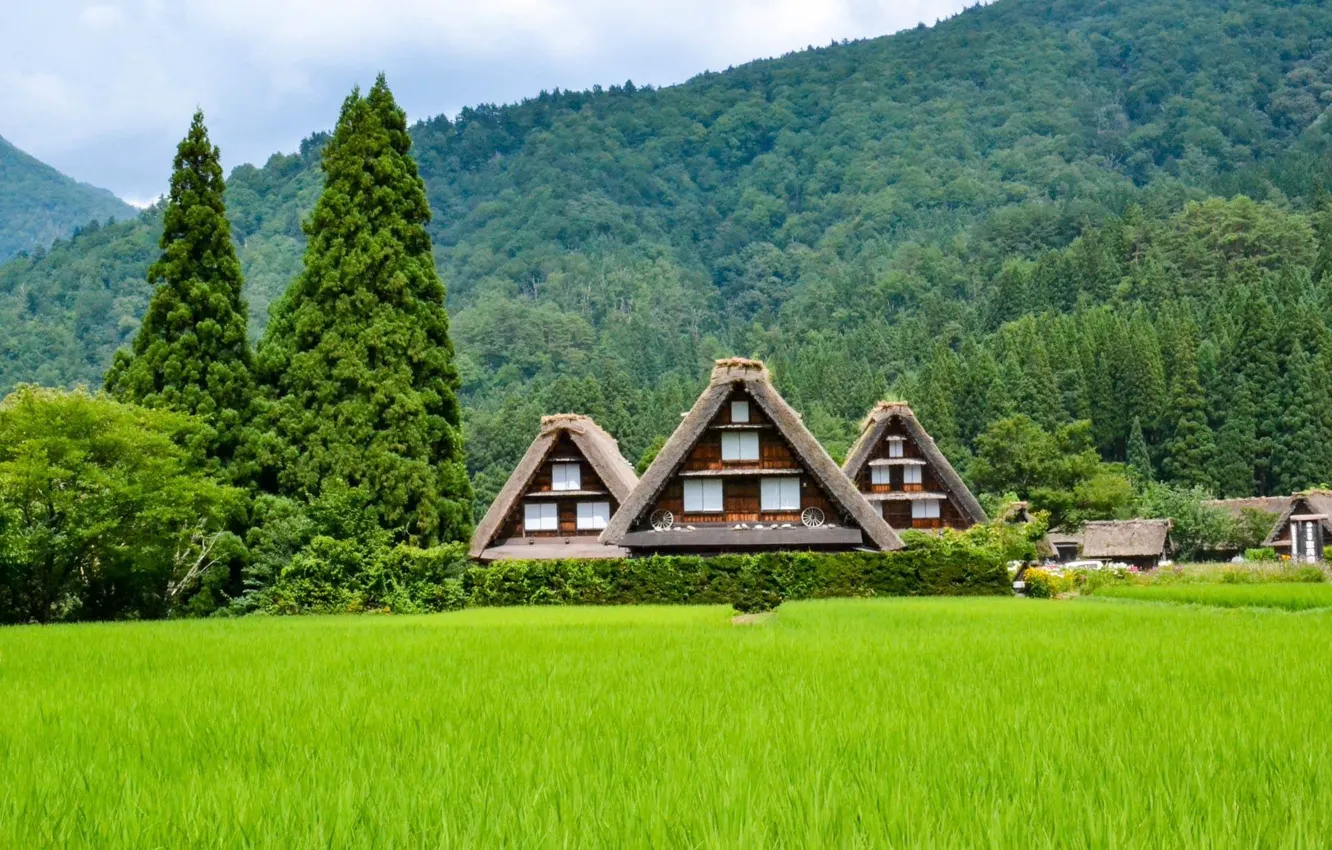 Photo wallpaper summer, landscape, nature, hills, home, Japan, town, forest