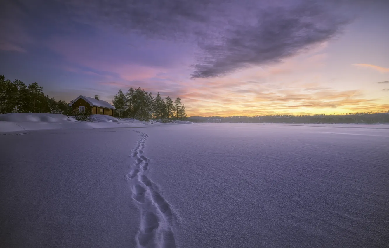 Photo wallpaper winter, snow, traces, lake, home, Norway, Norway, RINGERIKE