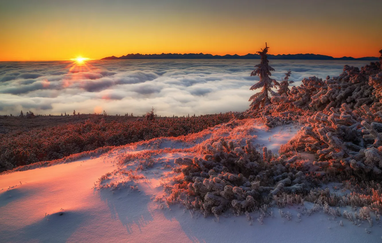 Photo wallpaper winter, the sun, clouds, snow, landscape, mountains, nature, Poland