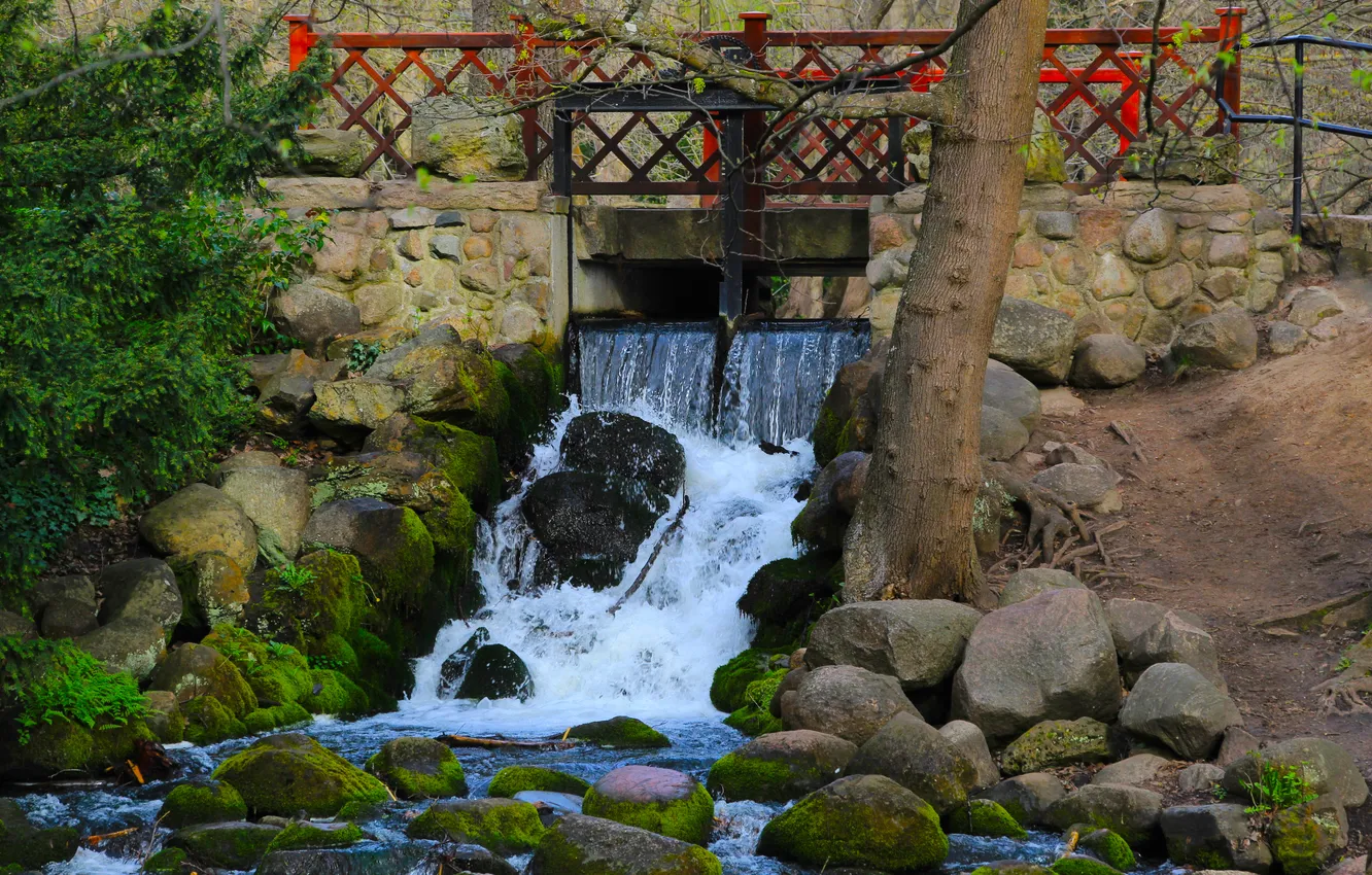 Photo wallpaper water, park, waterfall