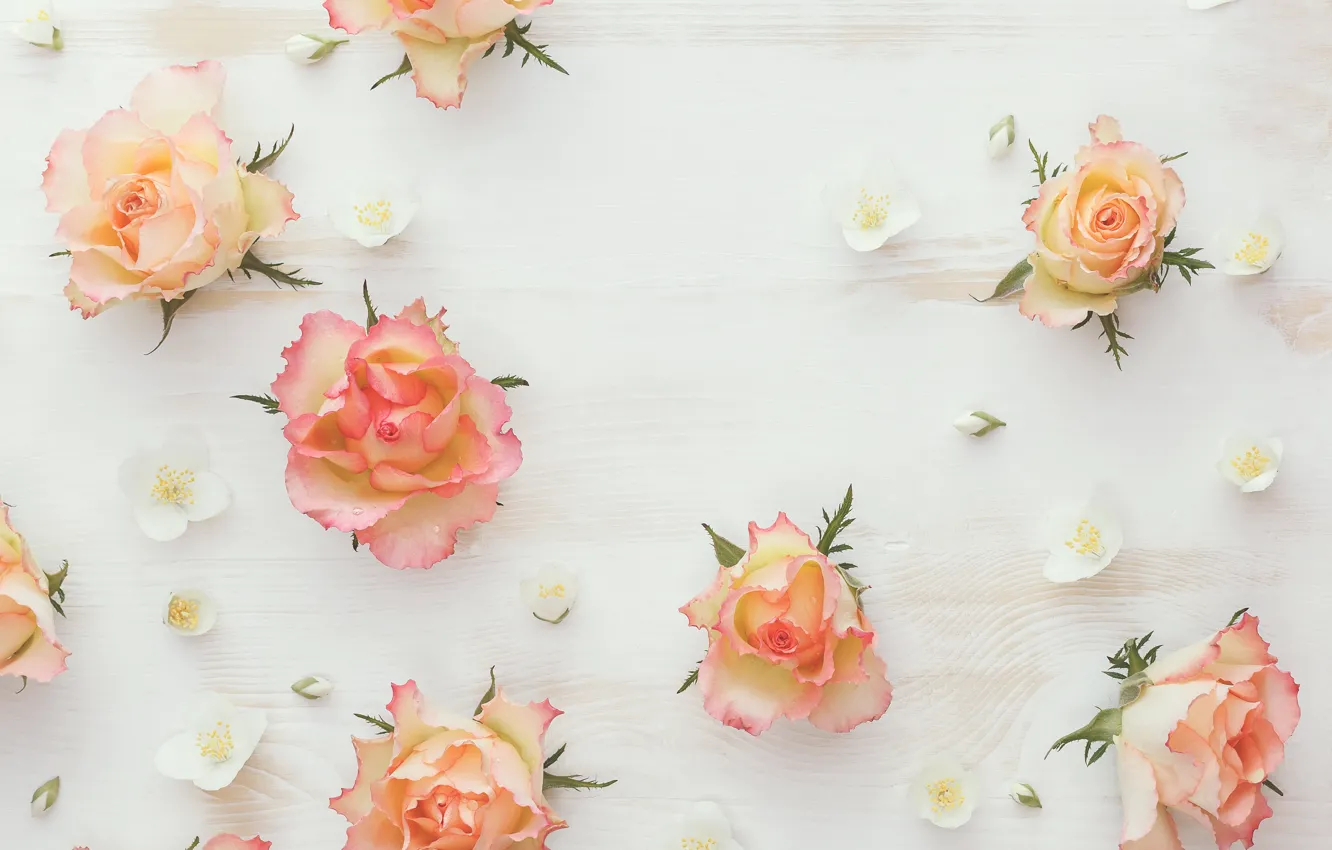 Photo wallpaper wood, flowers, roses