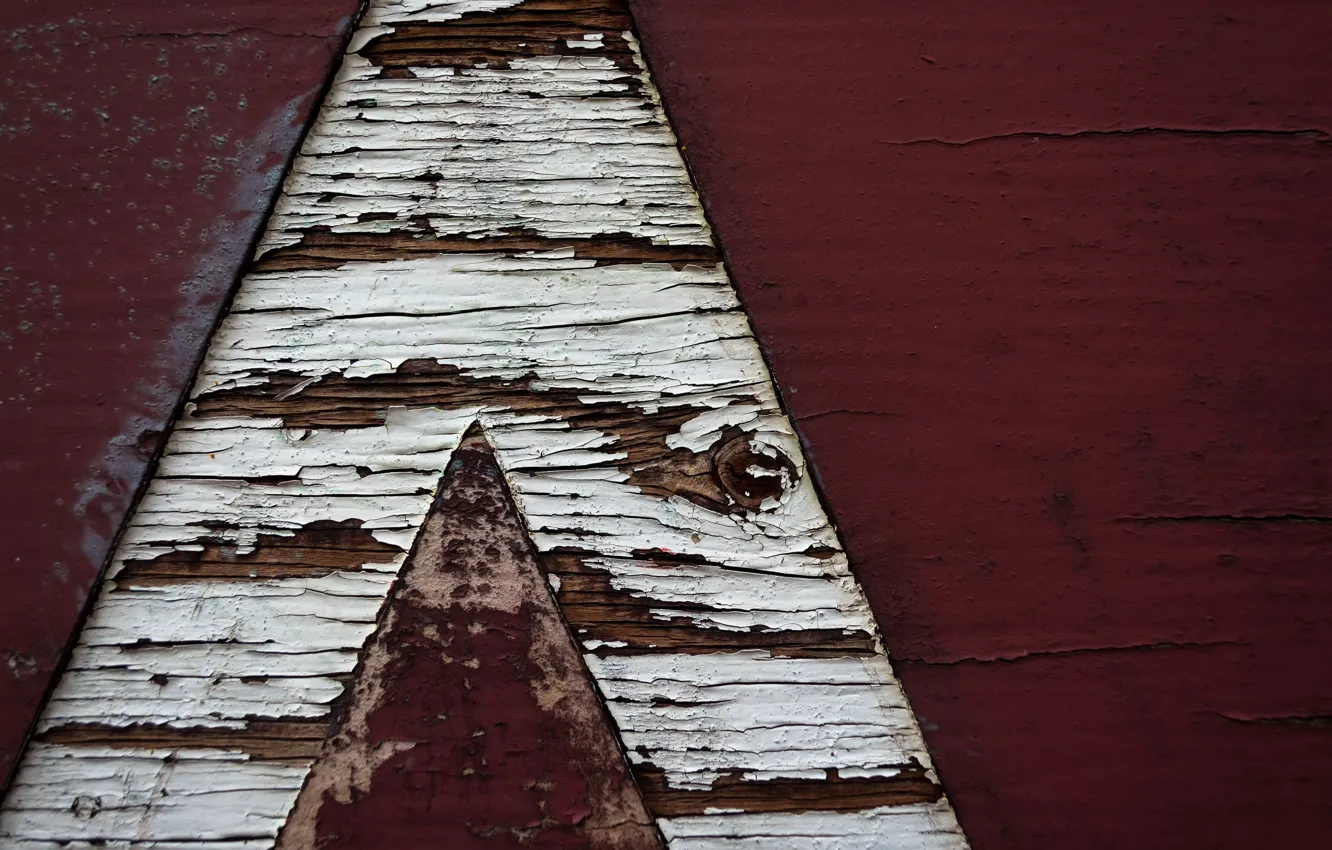 Photo wallpaper background, color, texture