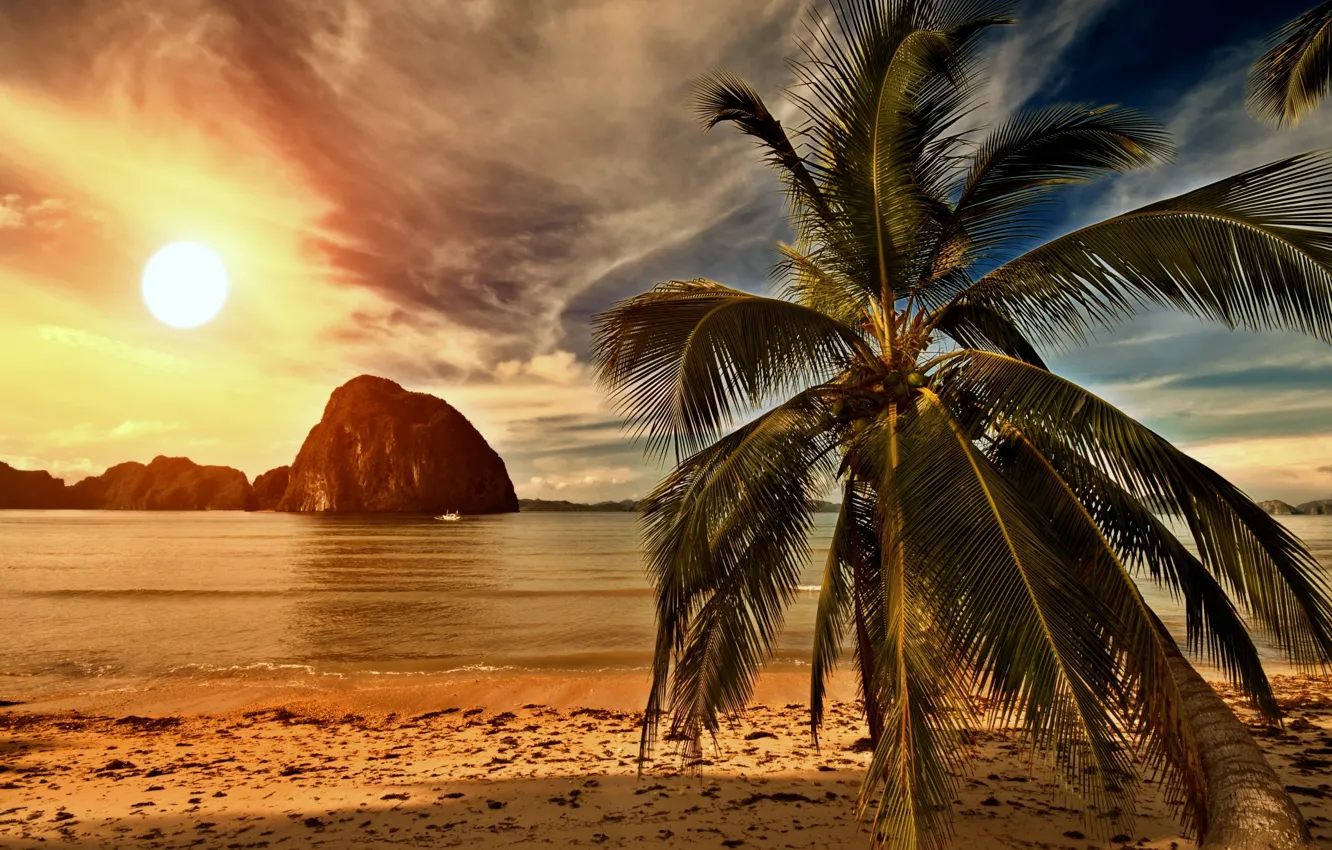 Photo wallpaper sand, sea, beach, sunset, tropics, palm trees, shore, beach