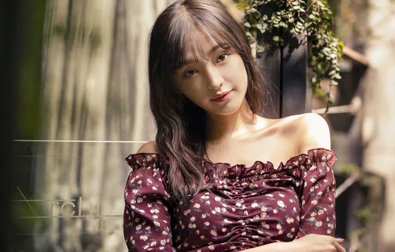 Photo wallpaper look, girl, dress, brunette, neckline, Asian, shoulders, Arnie Chou