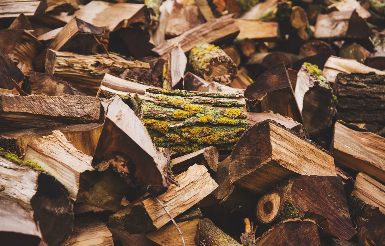 Photo wallpaper trees, log, Fuel, wood, fuel, log, logs, by Joanna Malinowska