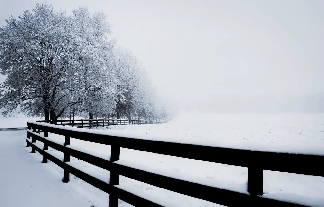 Photo wallpaper winter, fog, the fence