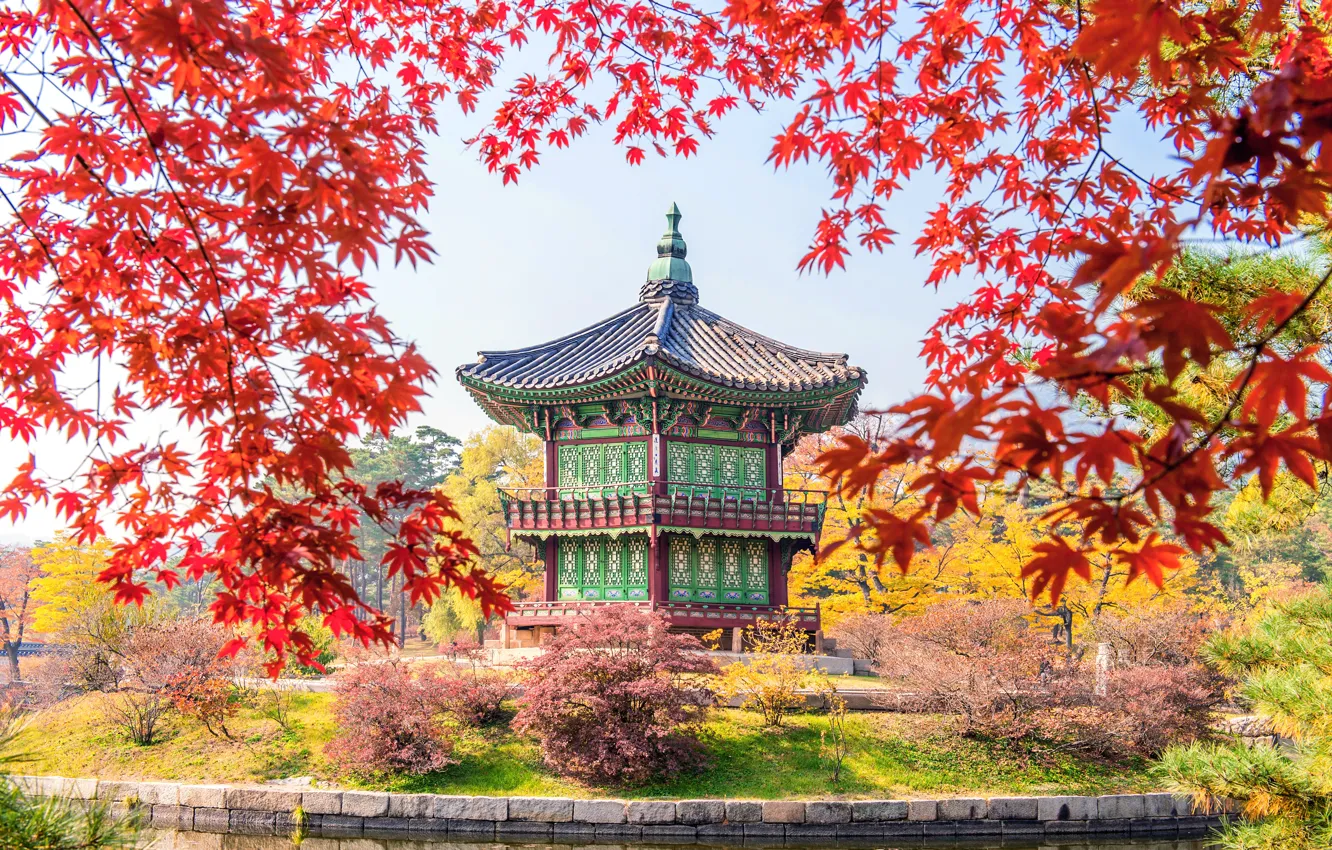 Photo wallpaper autumn, leaves, colorful, landscape, Korea, autumn, leaves, castle
