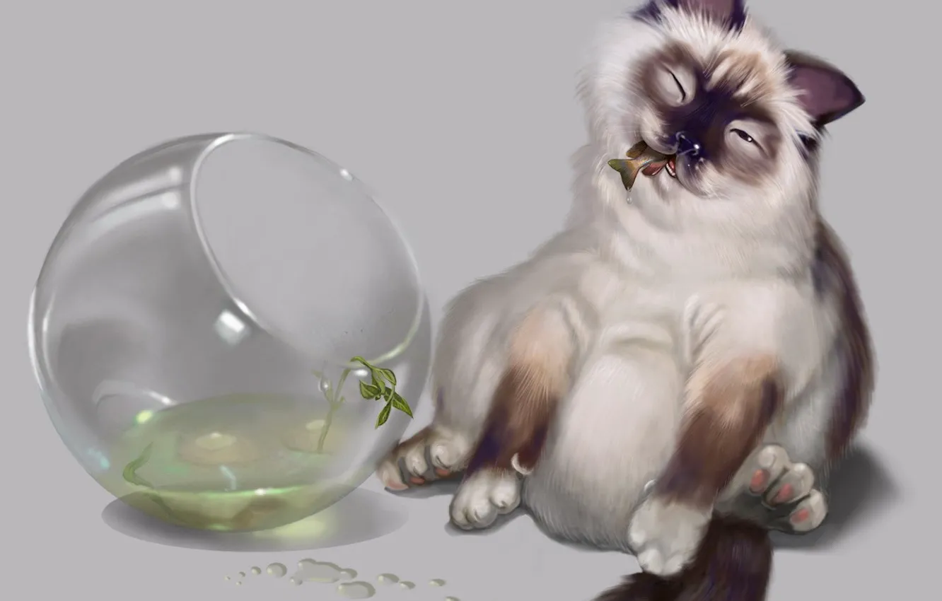 Photo wallpaper fish, aquarium, Koshak