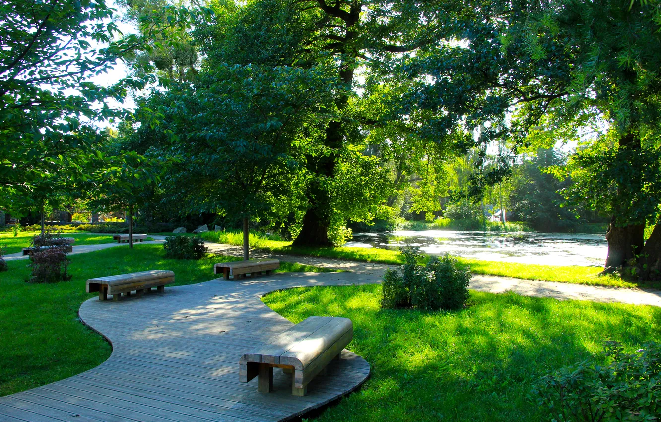 Photo wallpaper trees, park, bench, alley