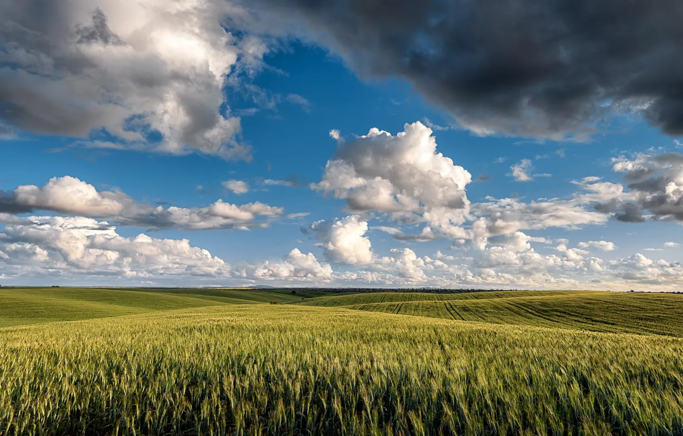 Photo wallpaper field, clouds, clouds