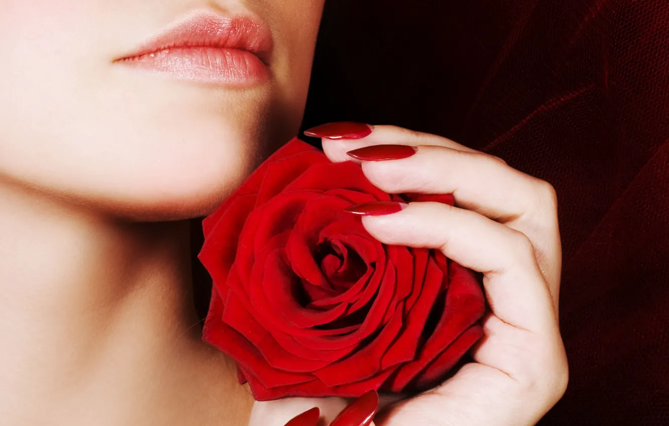 Photo wallpaper girl, rose, lips, nails