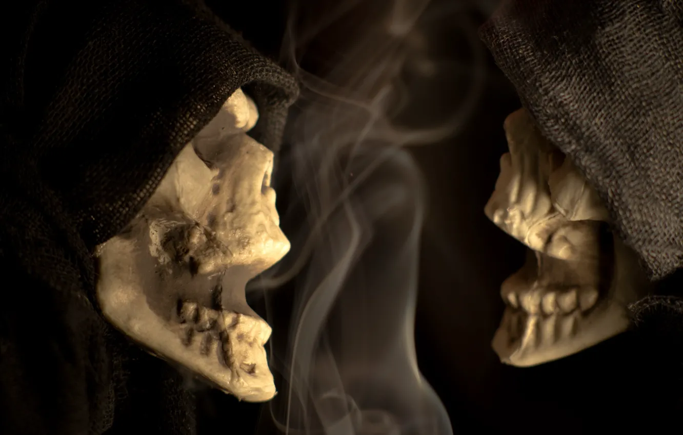 Photo wallpaper halloween, macro, scary, Skeleton Chatter, Skeleton