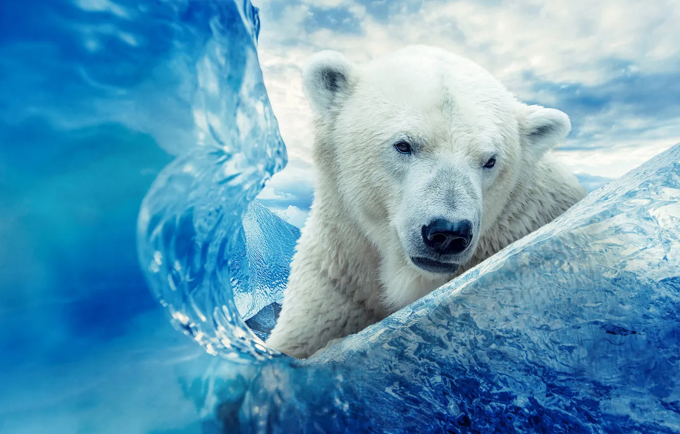 Photo wallpaper ice, winter, look, face, clouds, snow, nature, blue