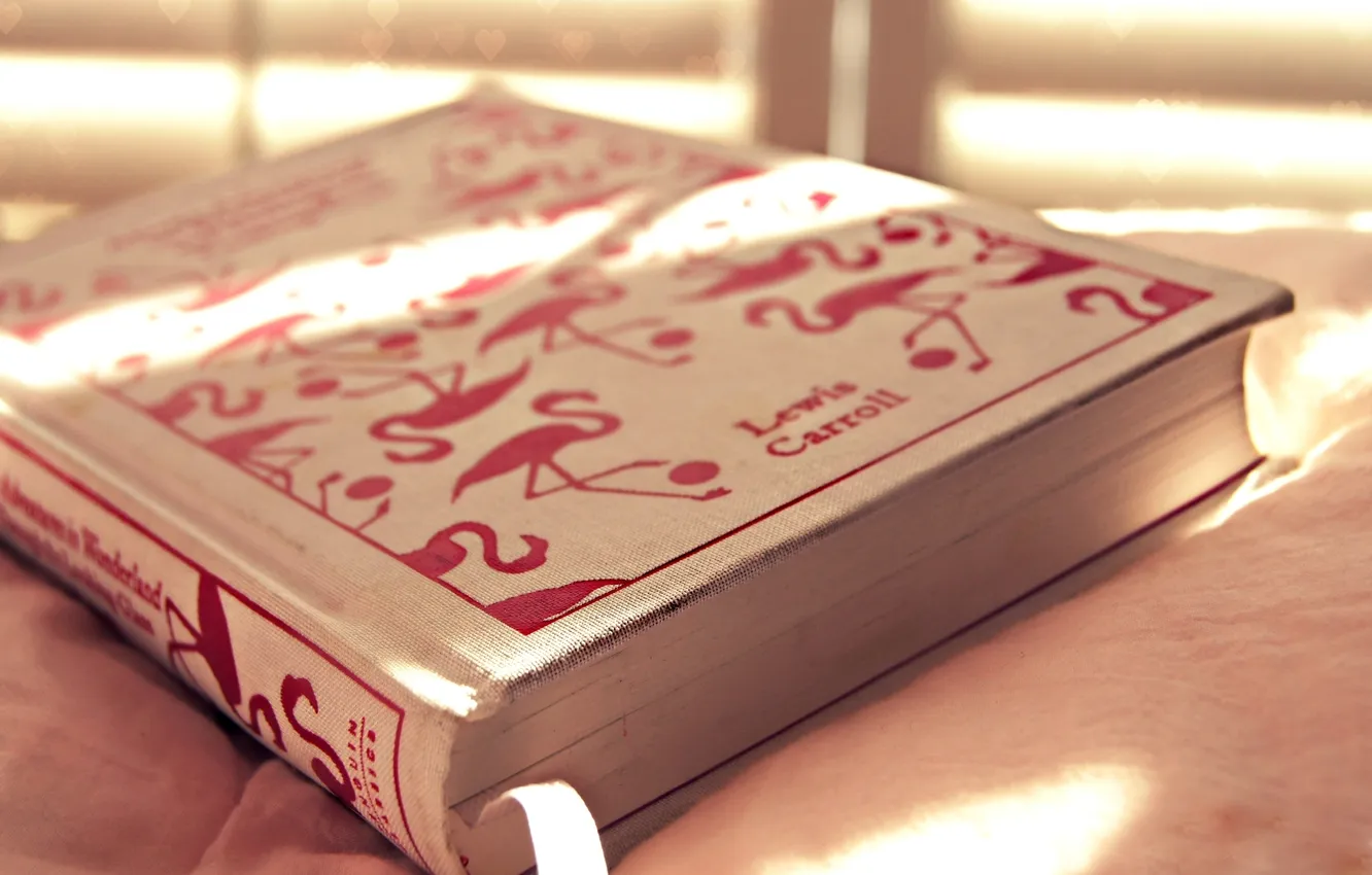 Photo wallpaper book, cover, bookmark