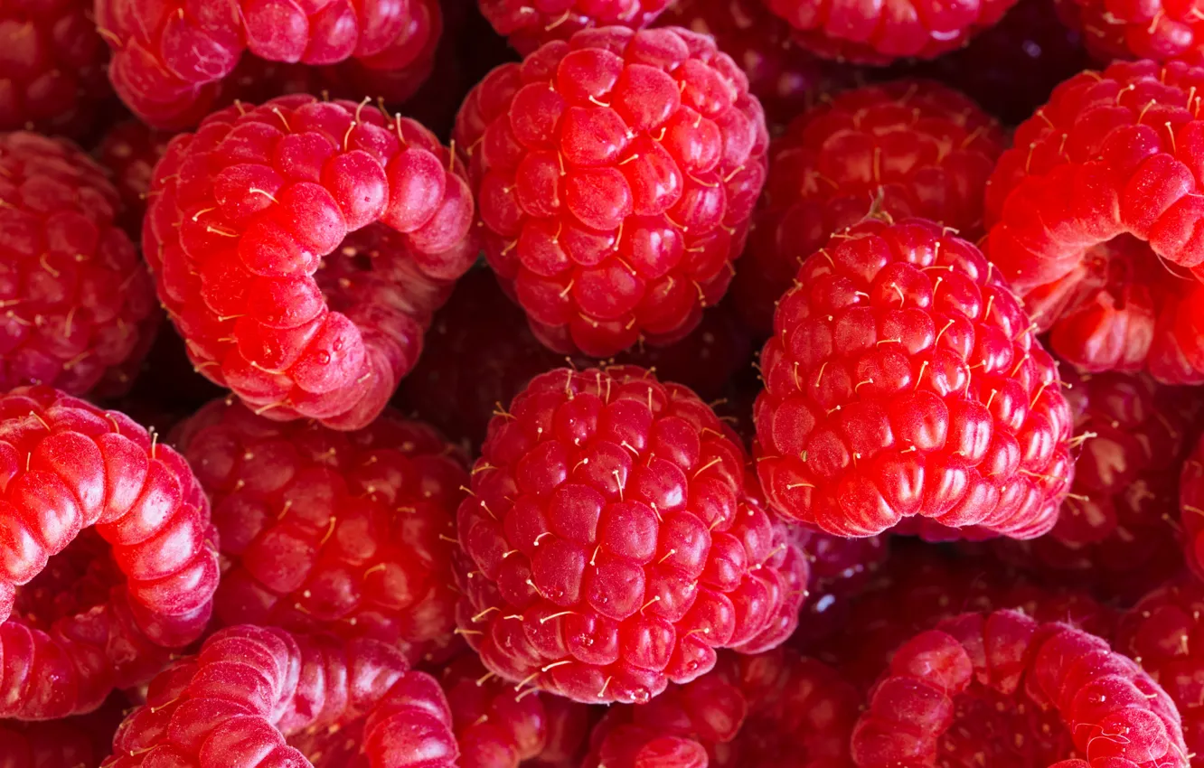 Photo wallpaper berries, raspberry, background, background, raspberry