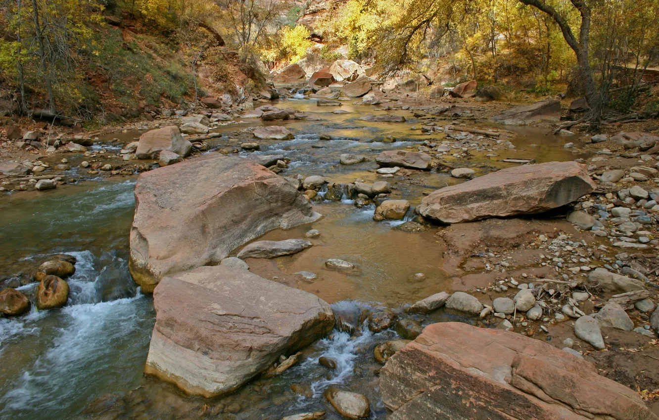 Photo wallpaper water, trees, river, stones, stream