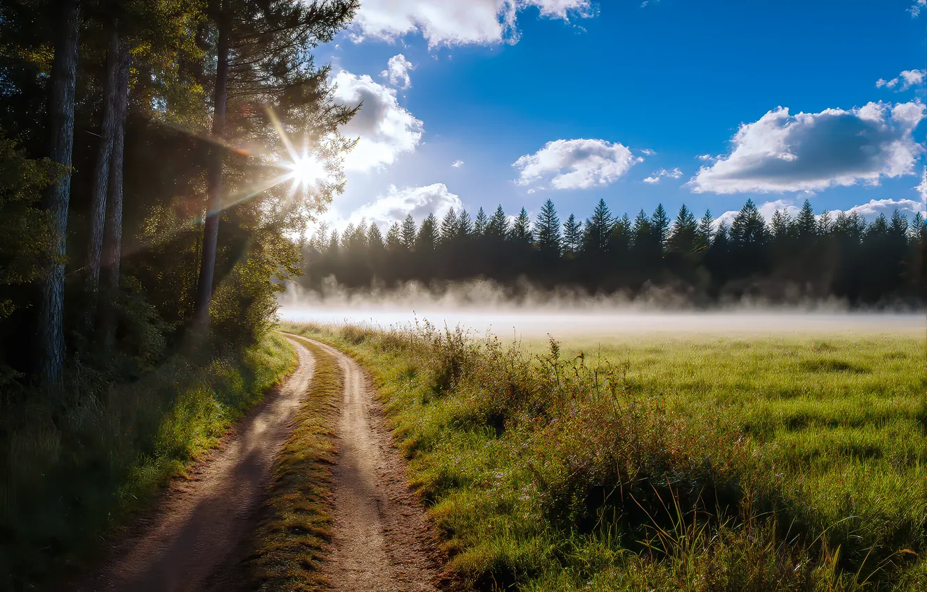 Photo wallpaper road, forest, clouds, meadow