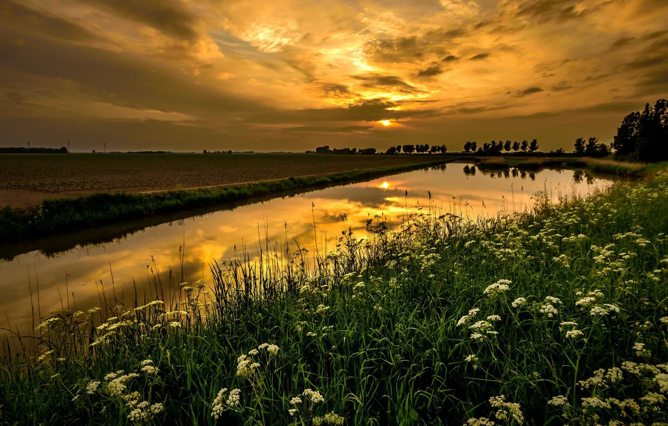 Photo wallpaper field, landscape, sunset, nature, beauty, irrigation canal