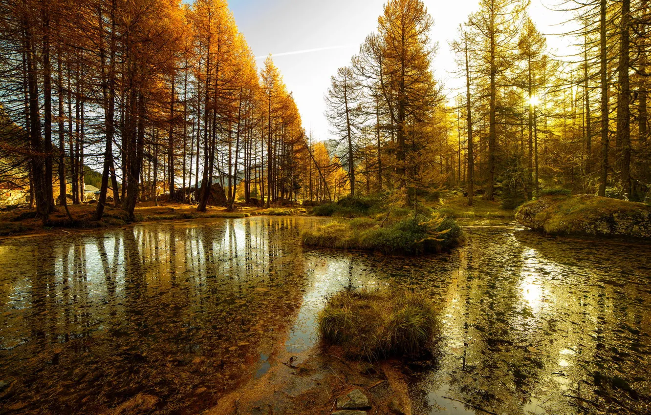 Photo wallpaper autumn, forest, water, lake, Nature, Tina, trees. pond