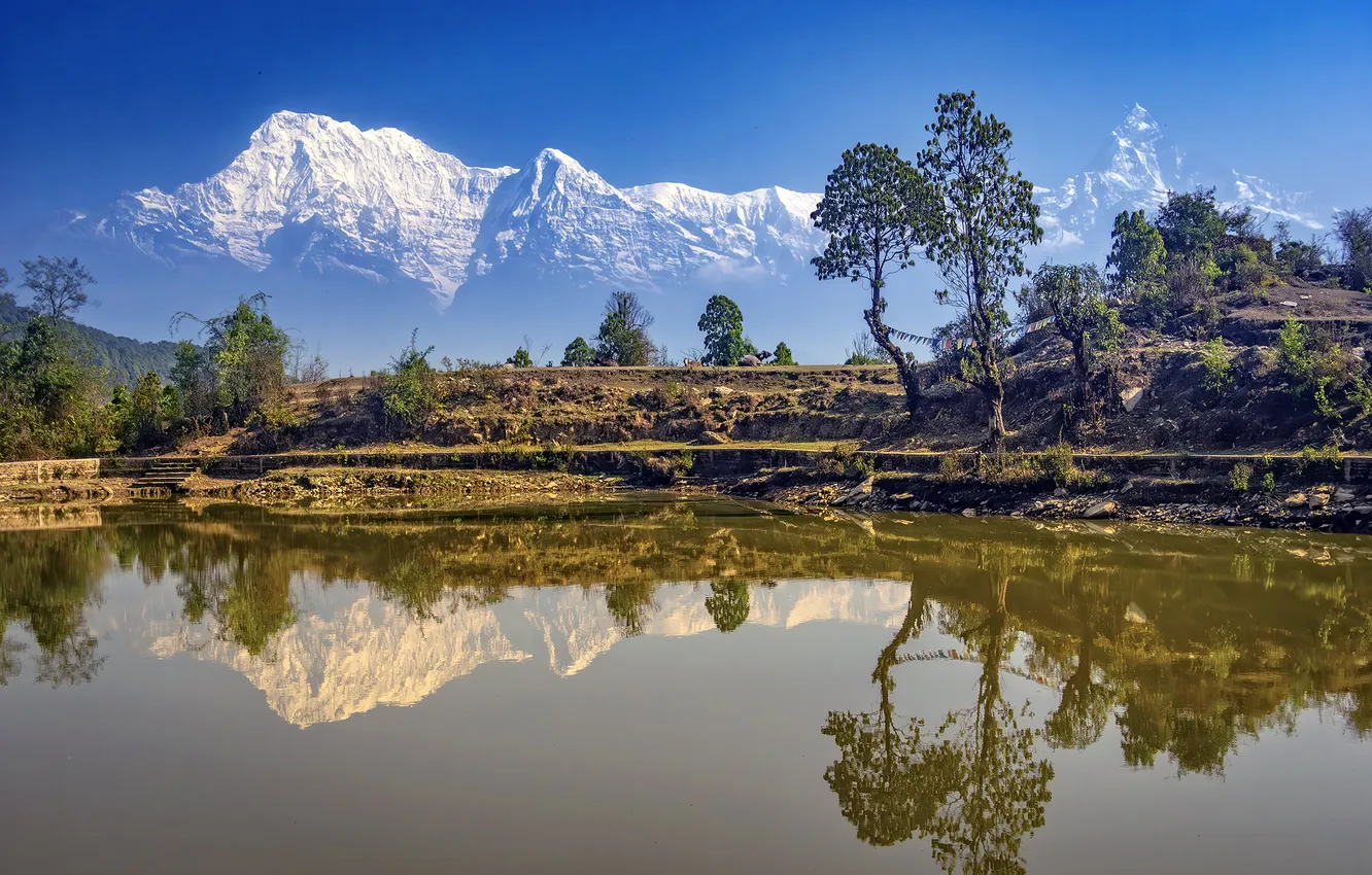 Photo wallpaper trees, mountains, nature, reflection, river