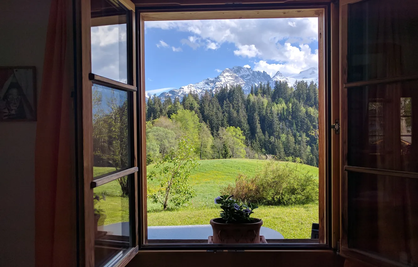 Photo wallpaper forest, the sky, clouds, landscape, mountains, nature, plant, horizon
