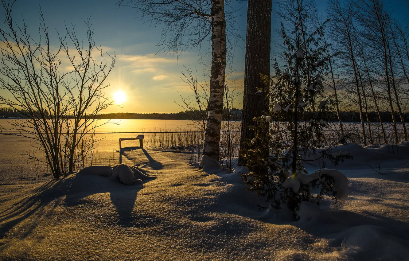 Photo wallpaper winter, snow, sunset, photo, tree, frost