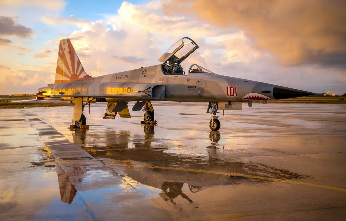 Photo wallpaper aviation, weapons, the point, F-5N Tiger