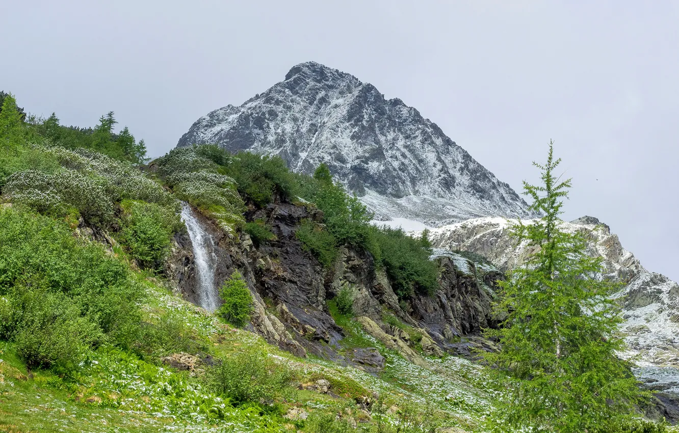 Photo wallpaper the sky, grass, trees, mountains, stones, rocks, France, waterfall