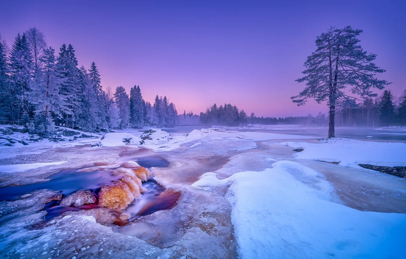 Photo wallpaper winter, snow, trees, river, Finland, Finland, Kiiminki River River, river Kiiminkijoki