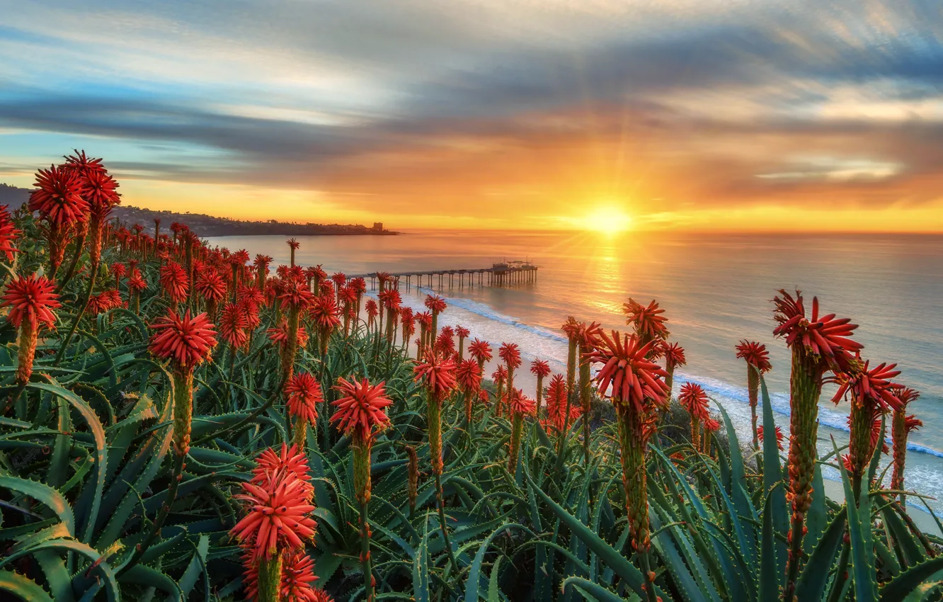 Photo wallpaper sea, clouds, sunset, flowers, shore, pierce, surf, red