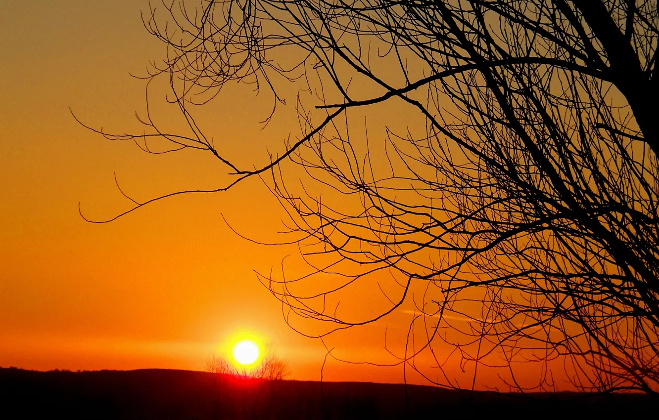 Photo wallpaper sunset, nature, nature, sunset