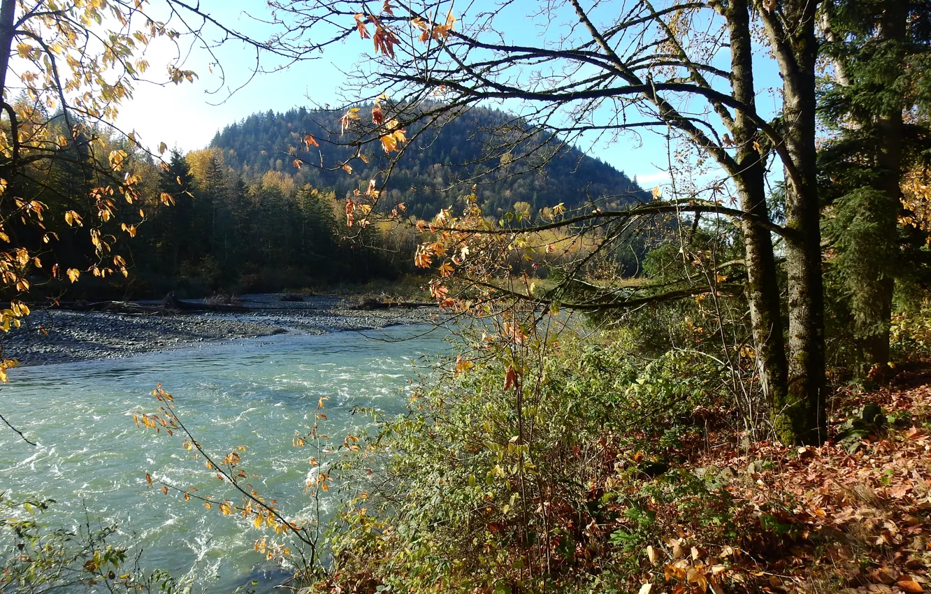 Photo wallpaper autumn, river, foliage, Nature, river, nature, autumn, mountain