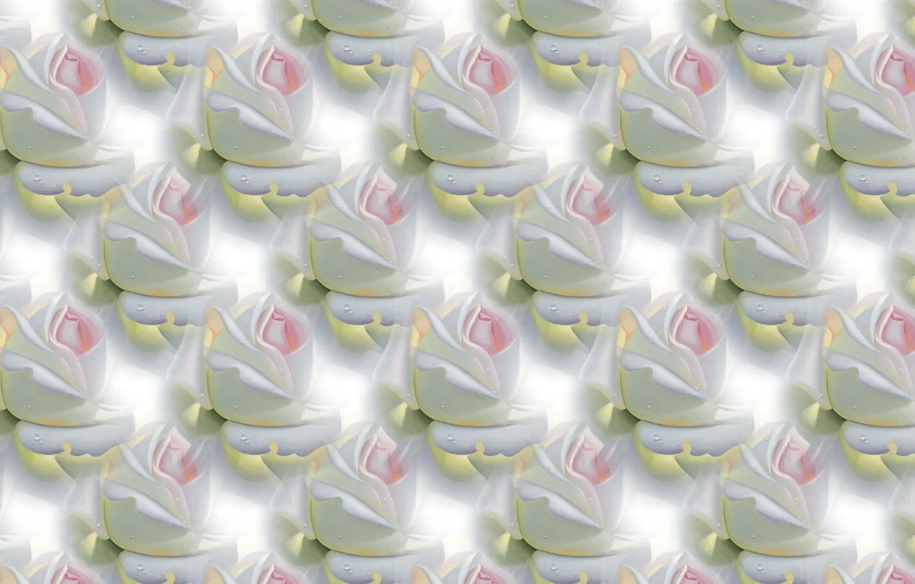 Photo wallpaper flowers, Rosa, roses, texture, art