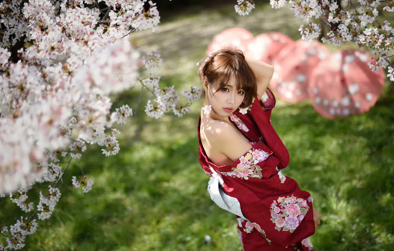Photo wallpaper sweetheart, Sakura, Asian, flowering