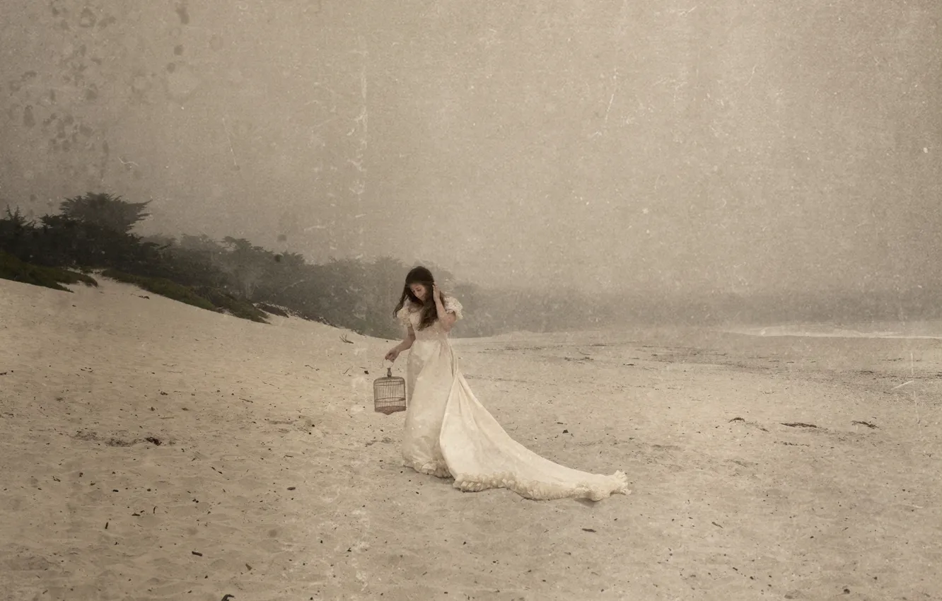 Photo wallpaper beach, girl, style, cell, dress, brown hair