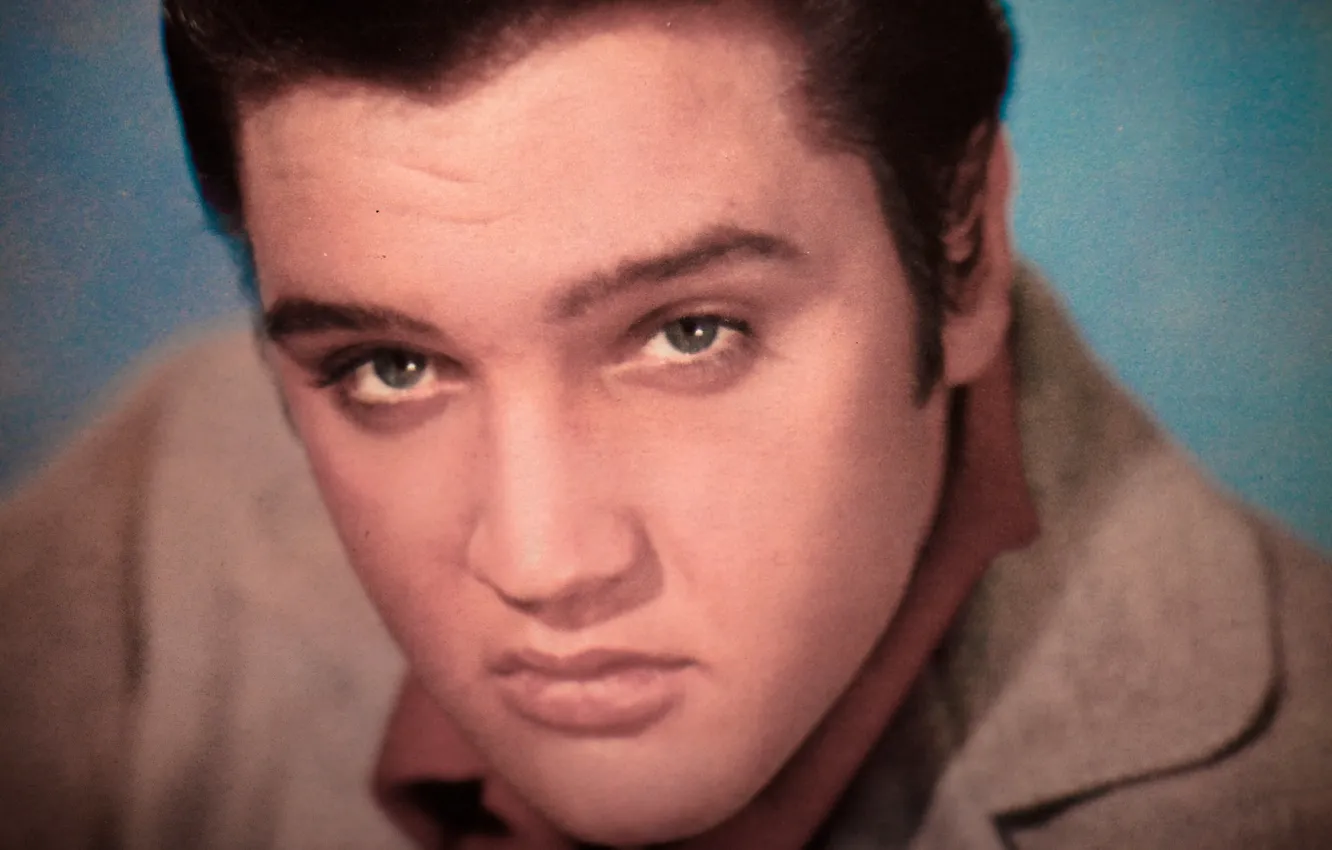 Photo wallpaper look, face, musician, singer, Rock-n-roll, Elvis Presley, Elvis Presley