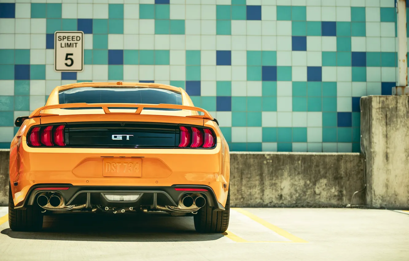 Photo wallpaper Ford, rear view, 2018, Mustang GT, Fastback Sports
