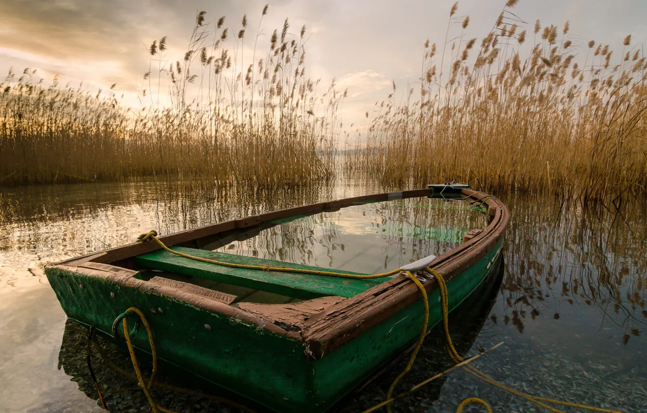 Photo wallpaper lake, boat, reed