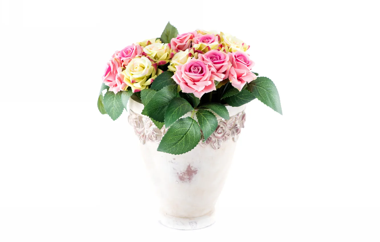 Photo wallpaper roses, bouquet, white background, vase