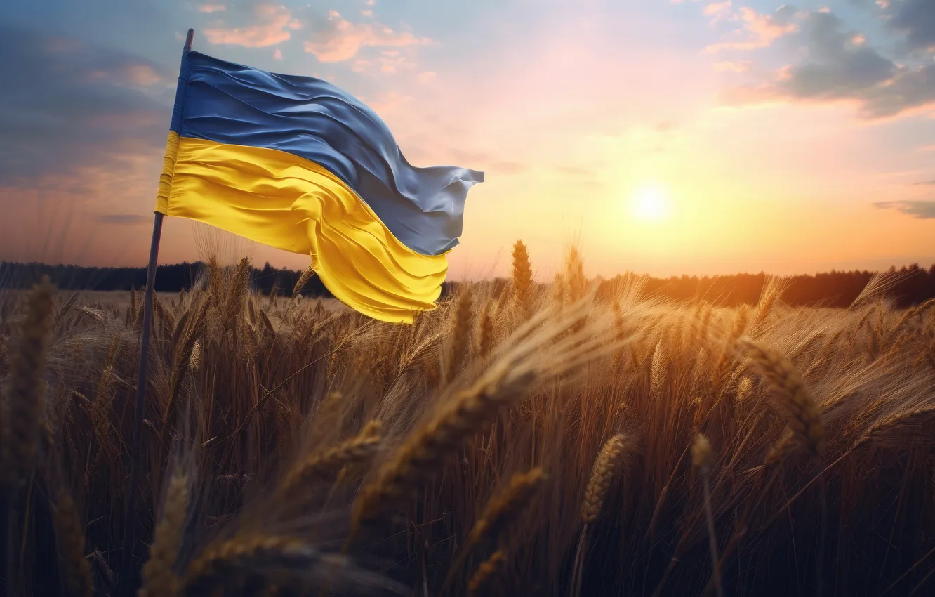 Photo wallpaper yellow, blue, flag, Ukraine, wheat