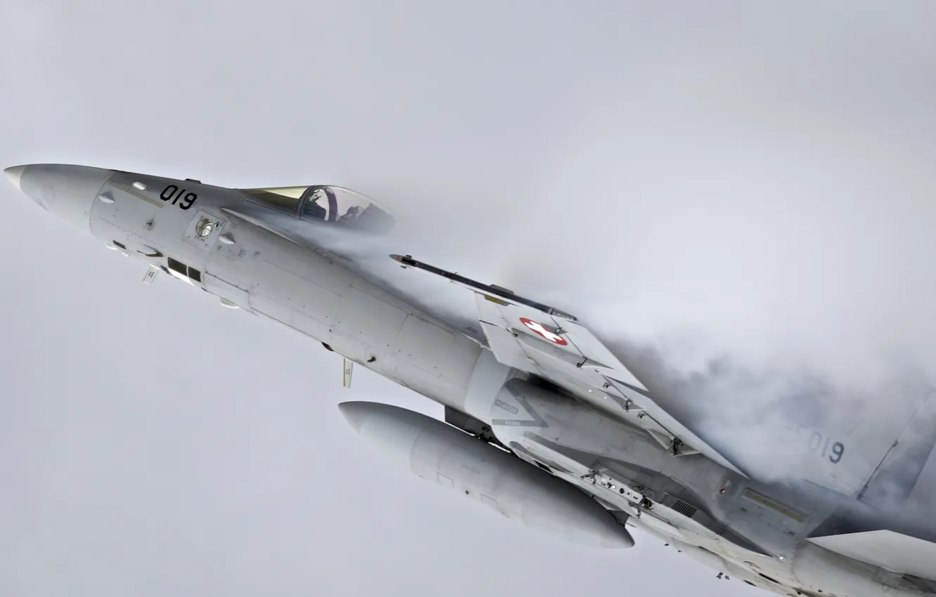 Photo wallpaper weapons, the plane, F18