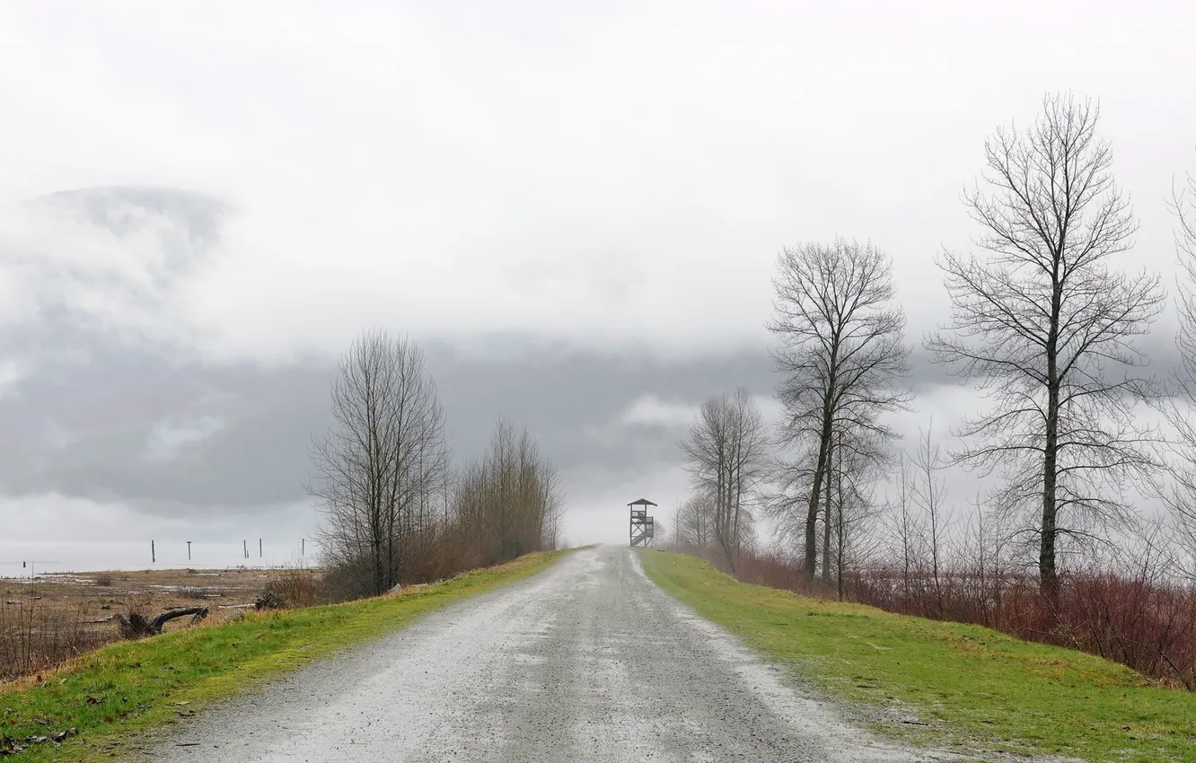 Photo wallpaper road, trees, landscape, nature