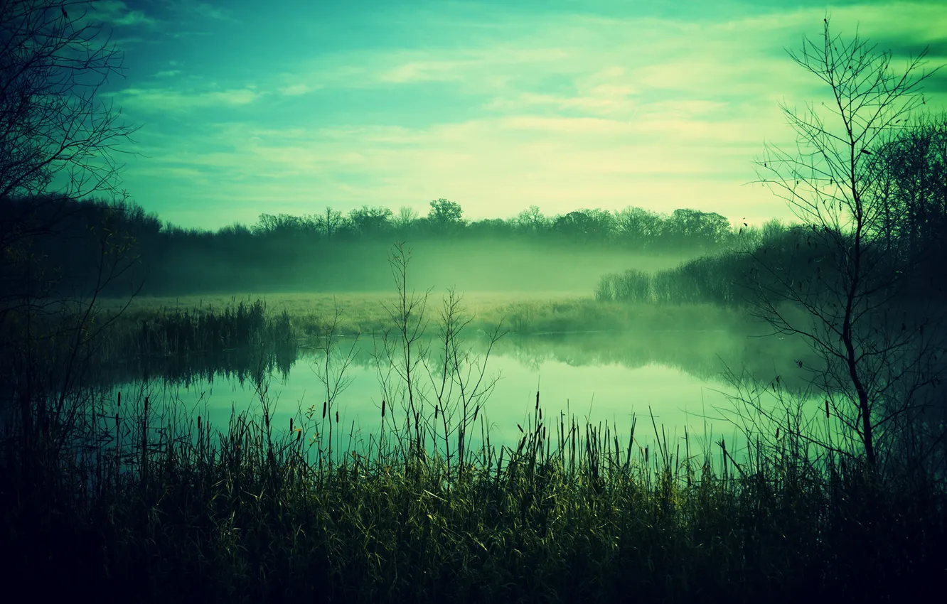 Photo wallpaper the sky, landscape, nature, fog, lake, photo, Wallpaper, plant