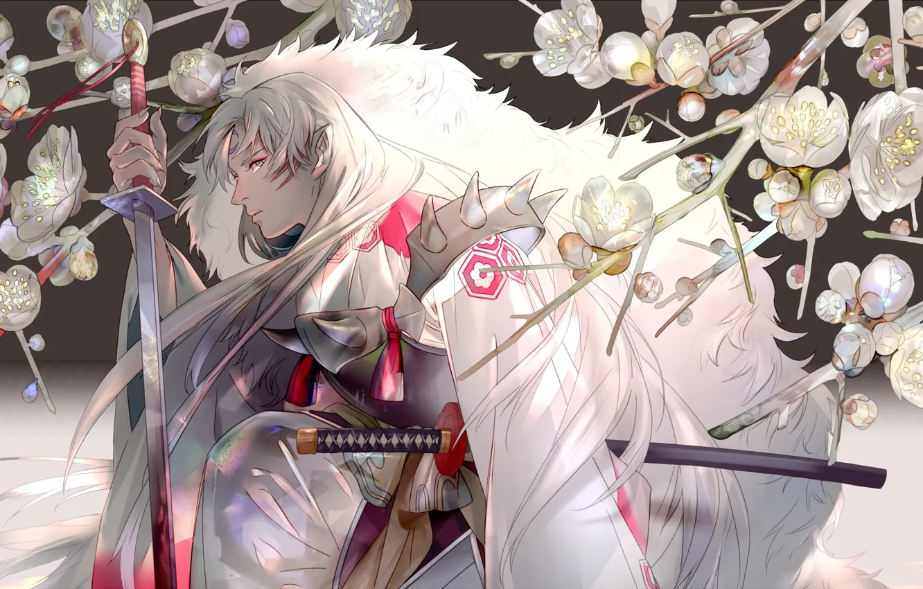 Photo wallpaper branches, sword, katana, Sakura, the demon, cloak, flowering, white fur