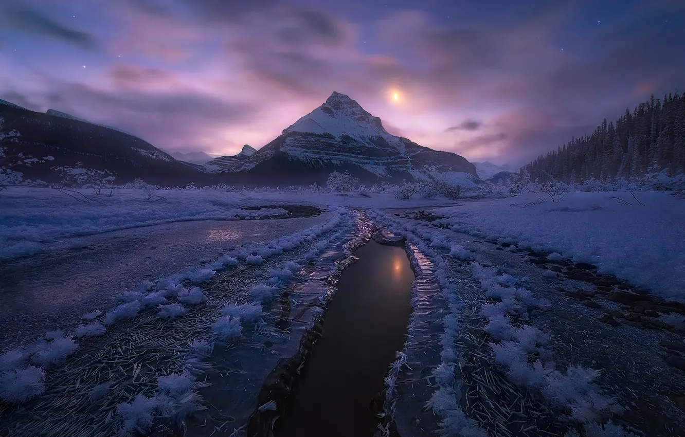 Photo wallpaper winter, snow, mountains, night, Canada, Albert, moonlight, Jasper national Park