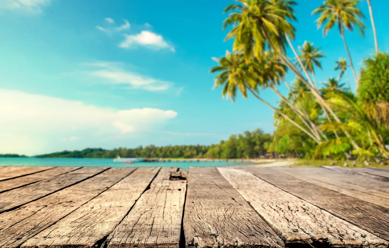 Photo wallpaper sand, sea, beach, summer, the sky, palm trees, summer, beach